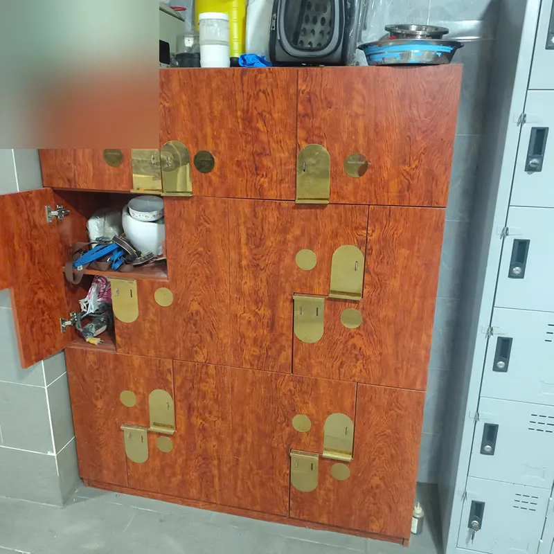 Tủ Đựng Đồ Cũ Vân Gỗ Chia Nhiều Khoang